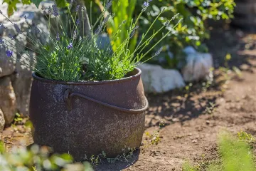 3-Bedroom Villa in Vrgorac with Heated Pool