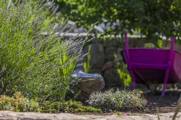 3-Bedroom Villa in Vrgorac with Heated Pool