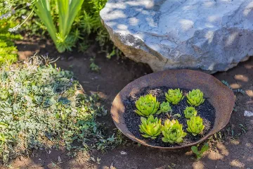 3-Bedroom Villa in Vrgorac with Heated Pool