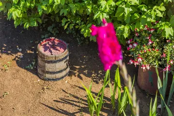 3-Bedroom Villa in Vrgorac with Heated Pool