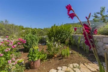 3-Bedroom Villa in Vrgorac with Heated Pool