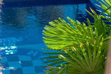 Milna Villa for 10–15 Guests with Heated Pool