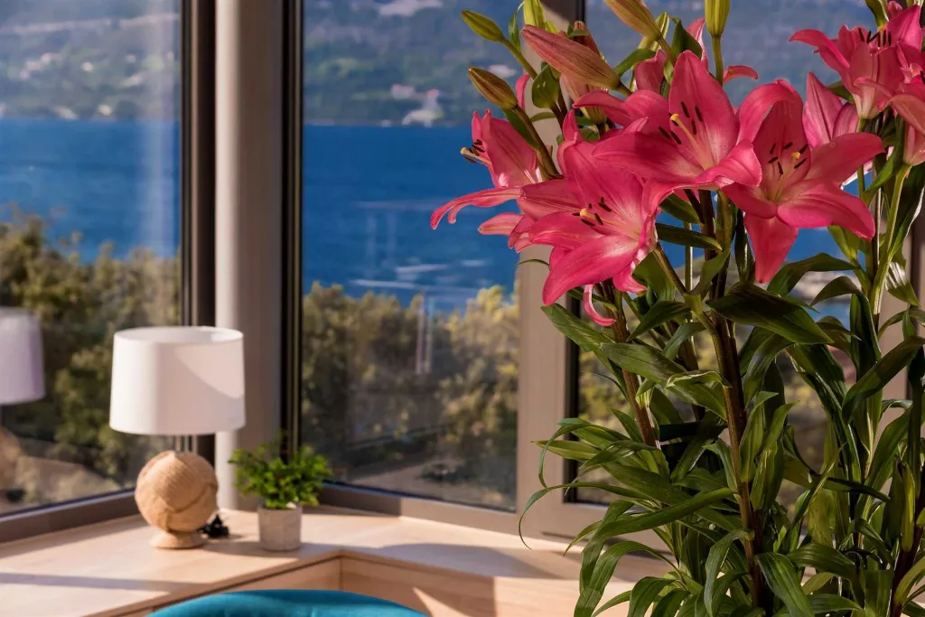 Villa in Zrnovo, Croatia with Heated Rooftop Pool