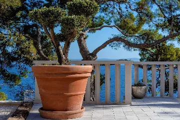 4-Bedroom Villa in Sumartin for 8 Guests