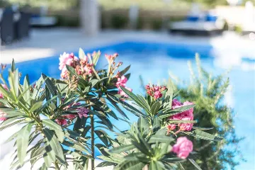 Villa with Private Pool & Sauna in Jelsa