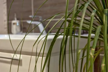 Mimice Villa with Pool for 10+2 Guests