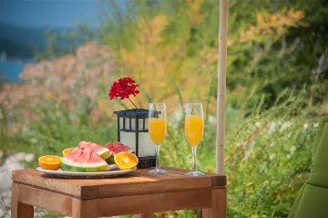 Seafront Villa with Saltwater Pool in Orebić