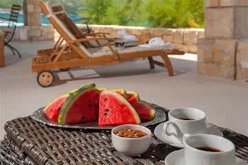 Seaside Villa with Infinity Pool in Orebić