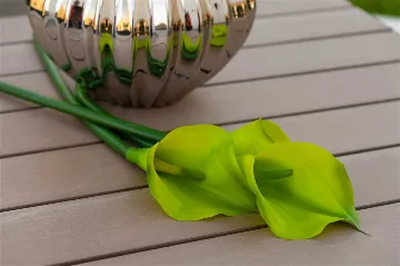 Okrug Gornji Villa for 11 with Indoor & Outdoor Pools