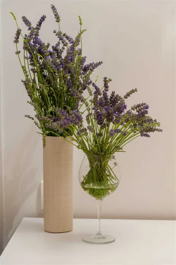 Okrug Gornji 6-Bedroom Villa for 11 Guests