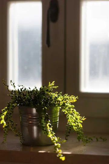 Stone Villa in Cavtat for Up to 10 Guests