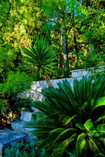 Dubrovnik Villa for 5 Guests with Outdoor Pool