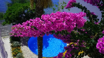 Orebić Villa with Swimming Pool for 9 Guests