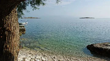 Stone Villa with Pool in Prigradica, Vela Luka