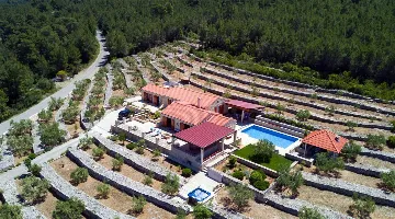 Stone Villa with Pool in Prigradica, Vela Luka
