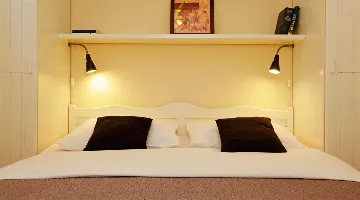 Vela Luka Air-Conditioned Villa with Private Pool