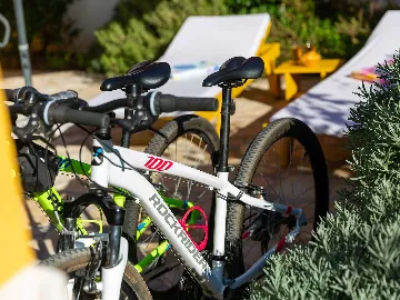 Garden Whirlpool Apartment for up to 4 in Nova Vas