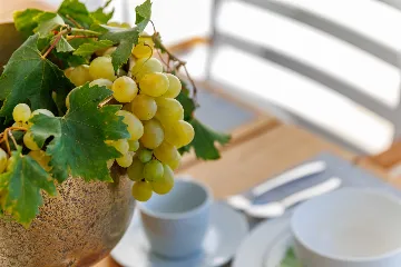 Villa in Jadrija, Šibenik with Private Pool