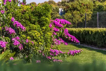 Holiday House for 6 in Rogoznica