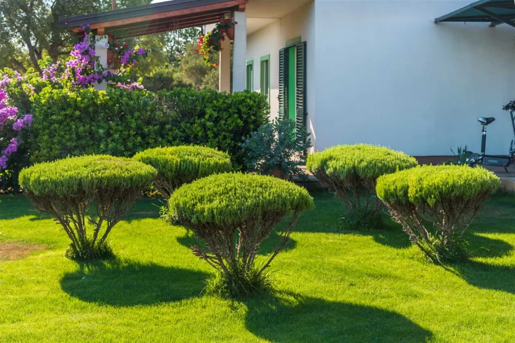 Holiday House for 6 in Rogoznica