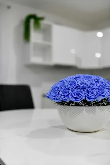 Villa in Vir with Private Swimming Pool