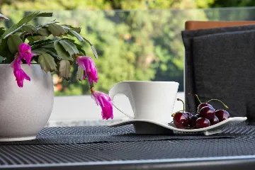 Turanj Villa for 12 with Private Pool & Sauna