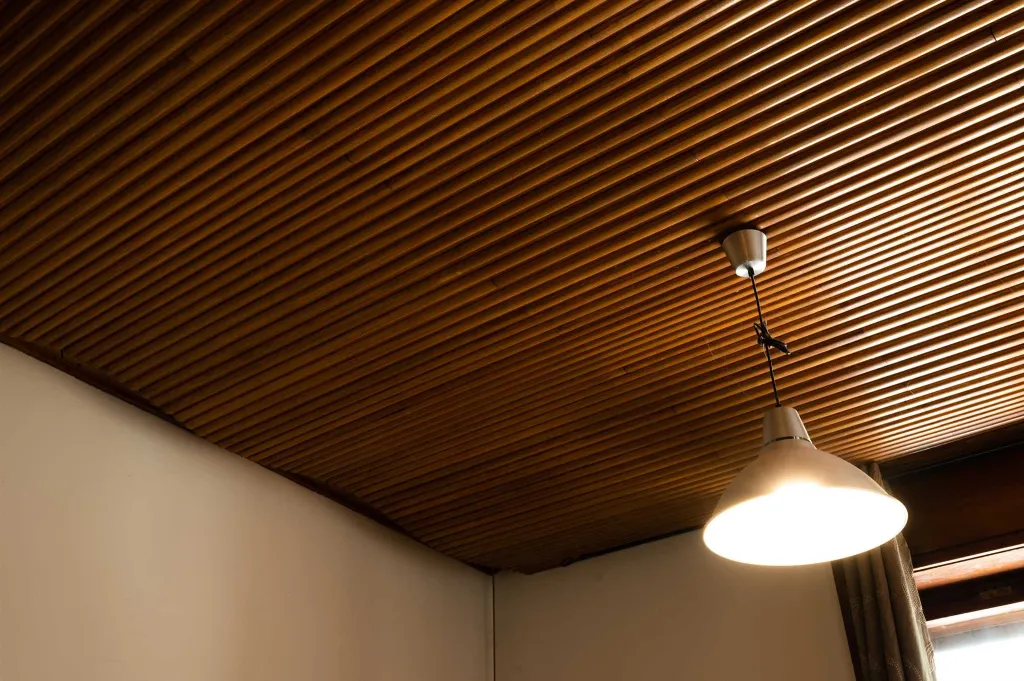 5-Bedroom House in Ljubljana for Up to 12 Guests