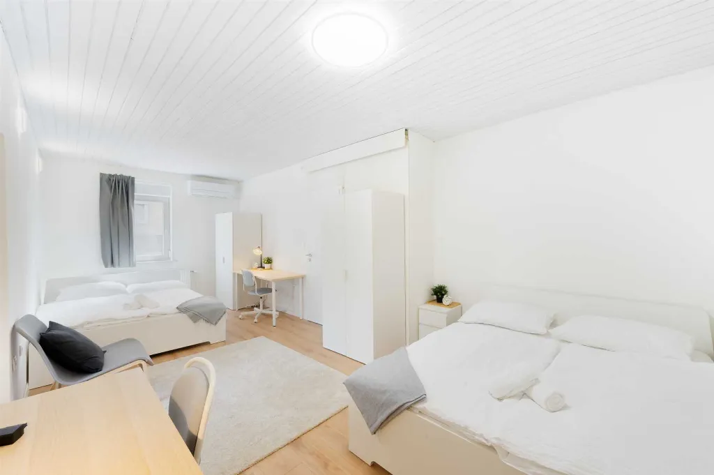 3-Bedroom Apartment with Private Entrance in Ljubljana