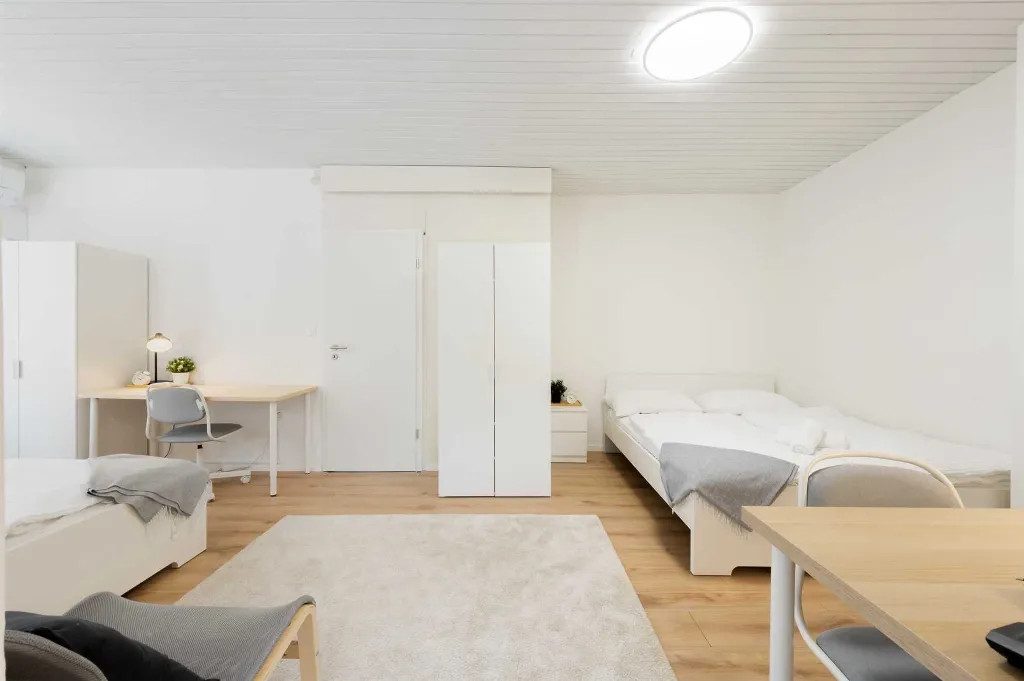 3-Bedroom Apartment with Private Entrance in Ljubljana