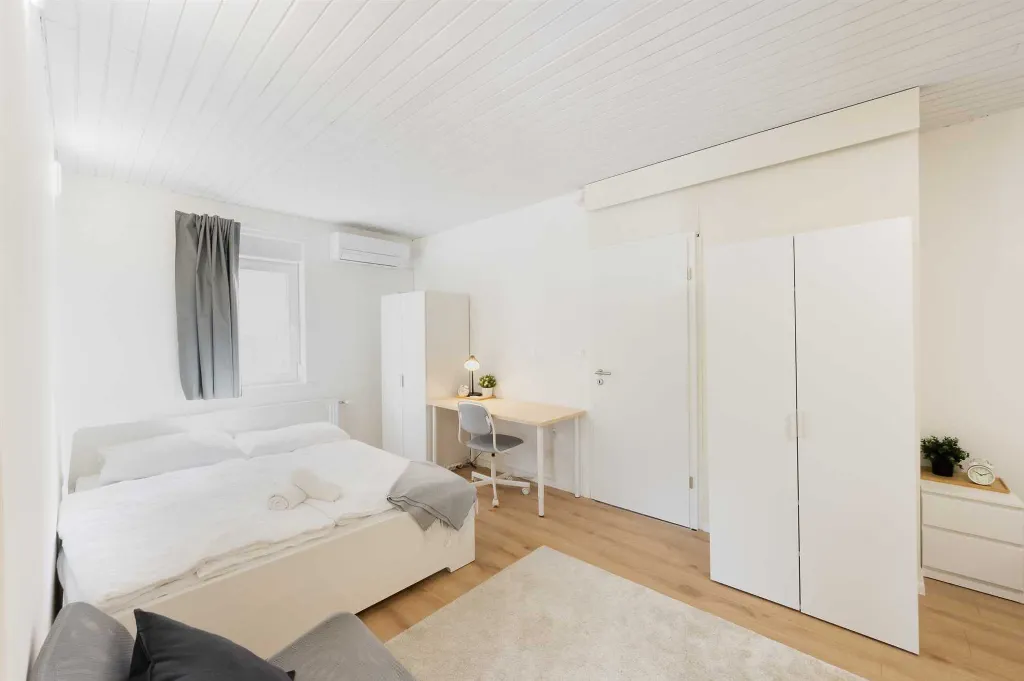 3-Bedroom Apartment with Private Entrance in Ljubljana