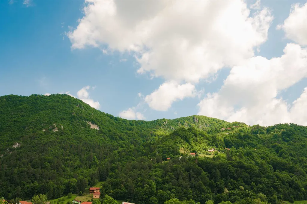 Studio Apartment for 2 in Radeče, Slovenia