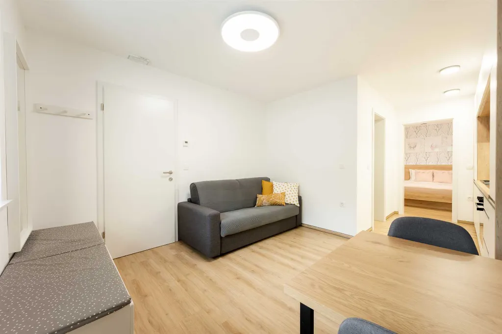 Air-Conditioned One-Bedroom Apartment in Radeče