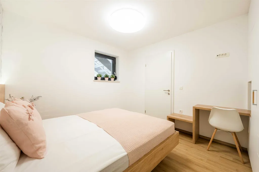 Air-Conditioned One-Bedroom Apartment in Radeče