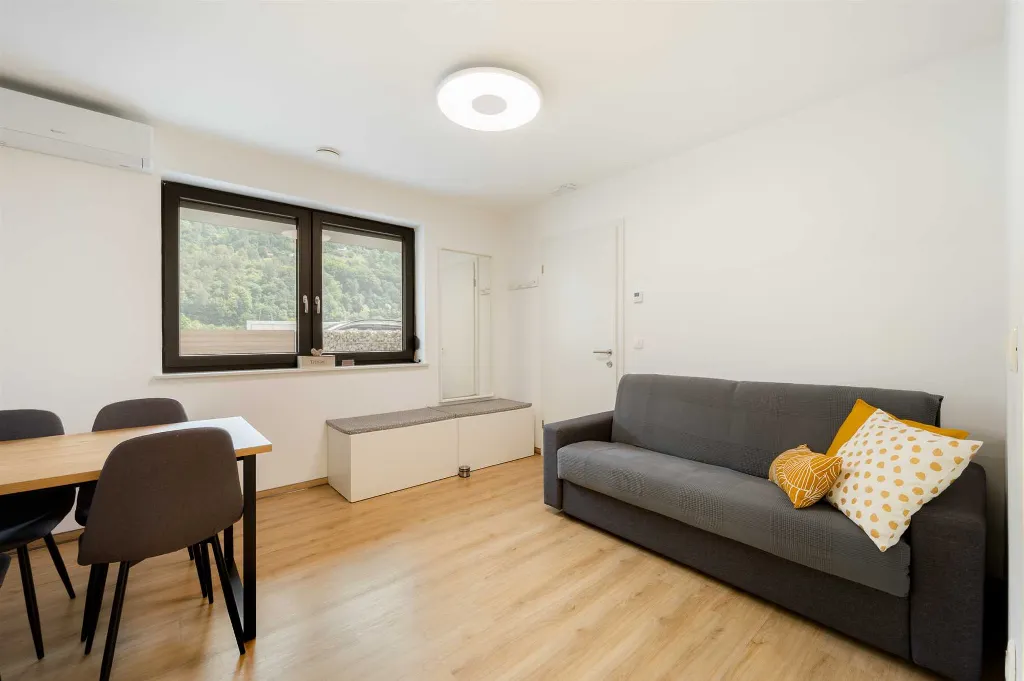 Air-Conditioned One-Bedroom Apartment in Radeče