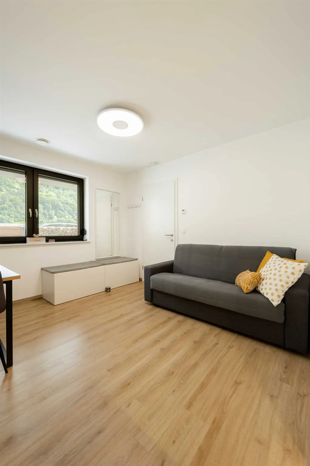 Air-Conditioned One-Bedroom Apartment in Radeče