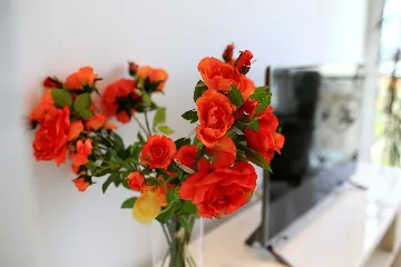 Murter Villa Apartment with Sea View (Up to 4)