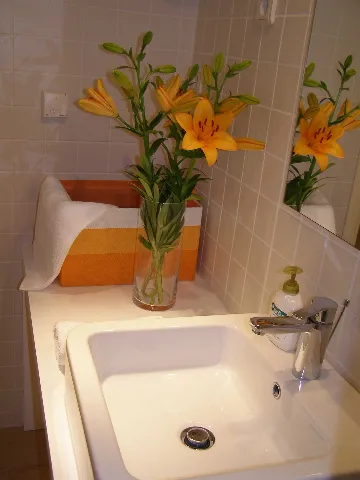 Murter 2-Bedroom Apartment with Secluded Terrace