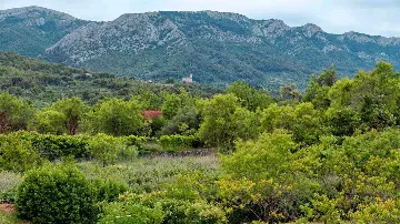 3-Bedroom Holiday House in Jelsa