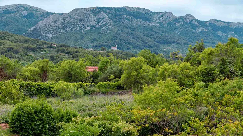 3-Bedroom Holiday House in Jelsa