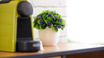 Sea View Apartment in Slatine with Shared Pool