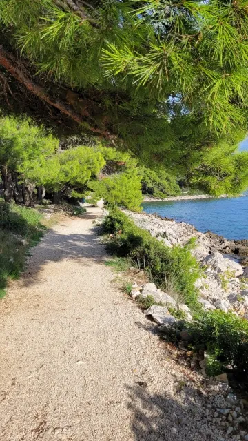 Sea View Apartment in Okrug Gornji for 4 Guests