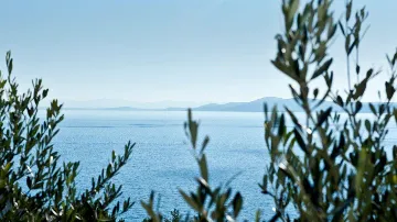 Four-Bedroom Villa with Pool in Okrug Gornji