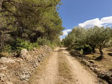 Villa with Pool in Milna for 8 Guests