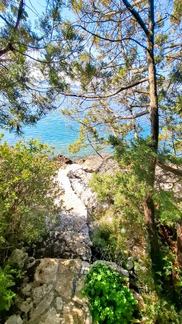 Okrug Donji 1-Bedroom Apartment for 2 Guests