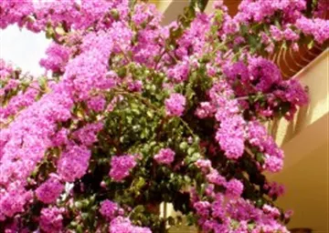 Two-Bedroom Apartment in Zadar