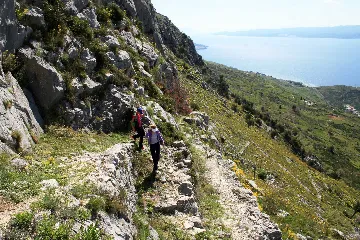 Apartment for 4 Guests in Lokva Rogoznica
